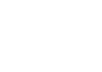 ican_logo-2